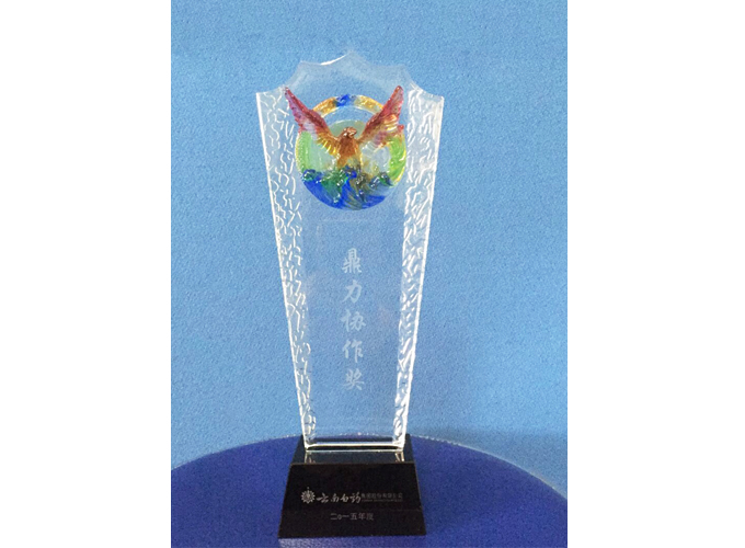 2015年度授予云南白药鼎力协作奖